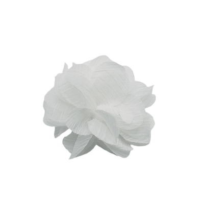 Blossom